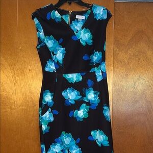 Calvin Klein Floral Black and Blue Dress